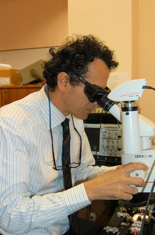 DIIES Laboratories