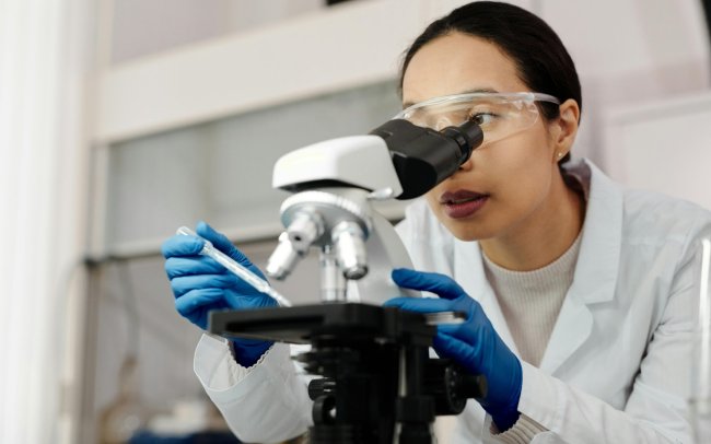 Biological Sciences