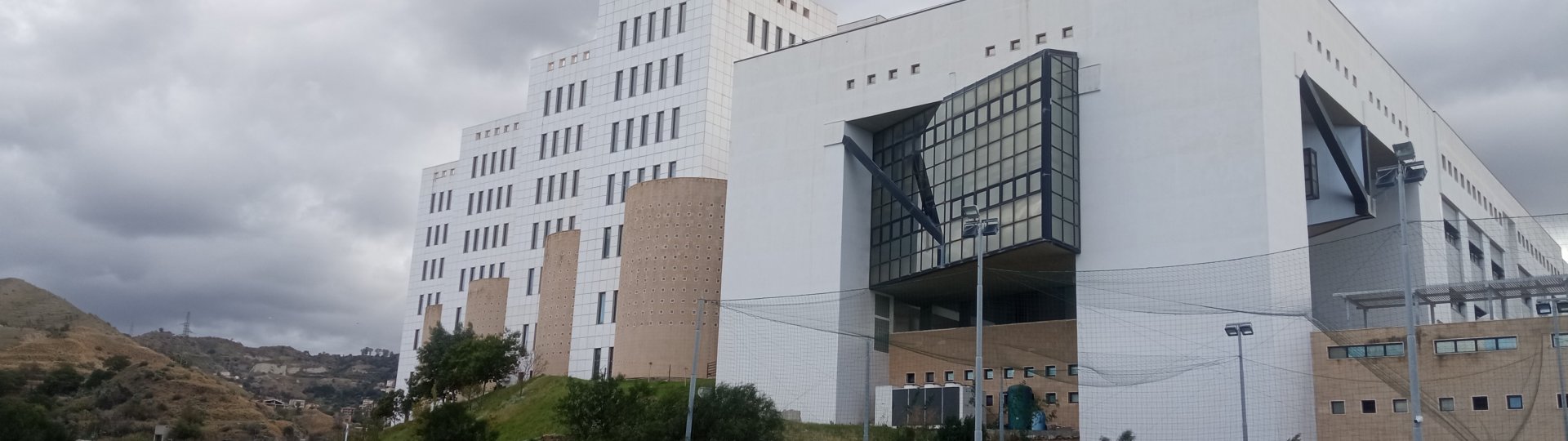 torri ateneo, organi di ateneo