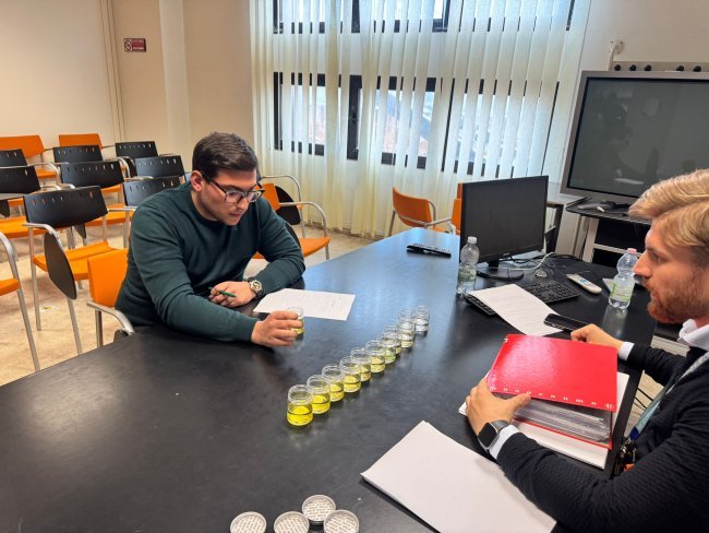 Olive Oil Taster Course