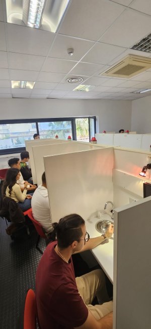 Olive Oil Taster Course