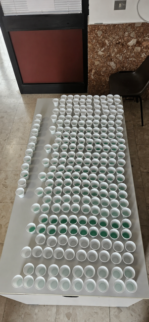 Olive Oil Taster Course