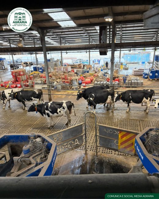 Agriculture - Ares