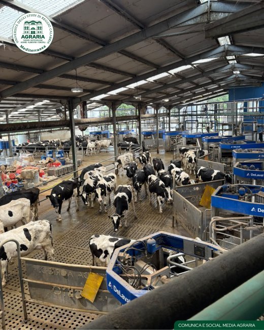 Agriculture - Ares