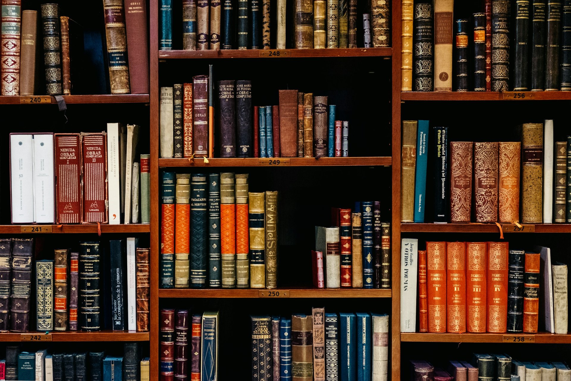 A bookshelf inside a university library
