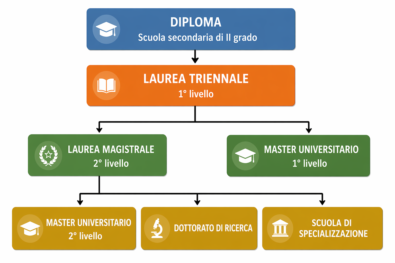 info point diploma italian university system scheme schema sistema universitario italiano
